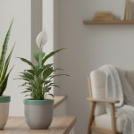 Top 5 Houseplants for Cleaner Indoor Air